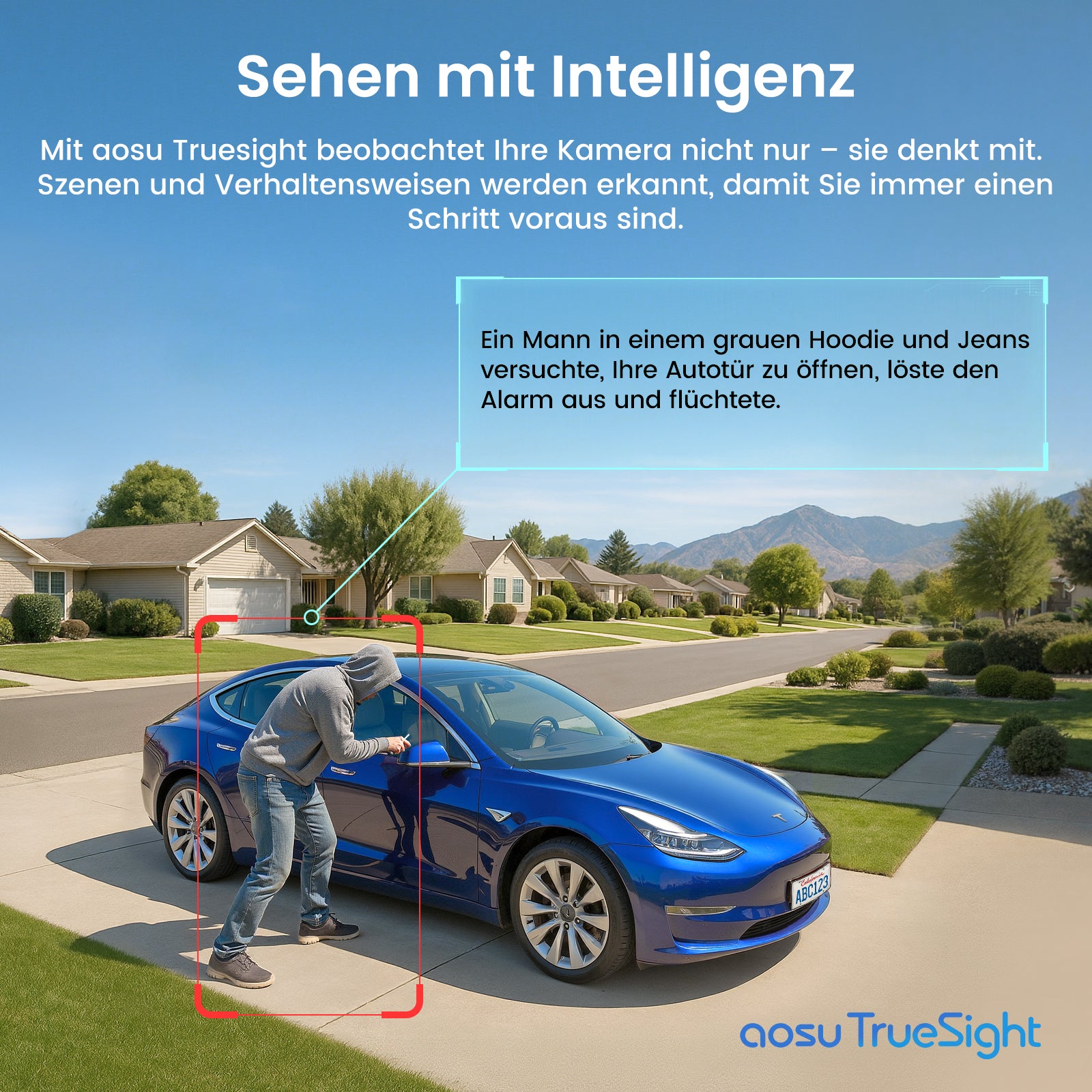 4K SolarCam P1 Max mit HomeCortex System